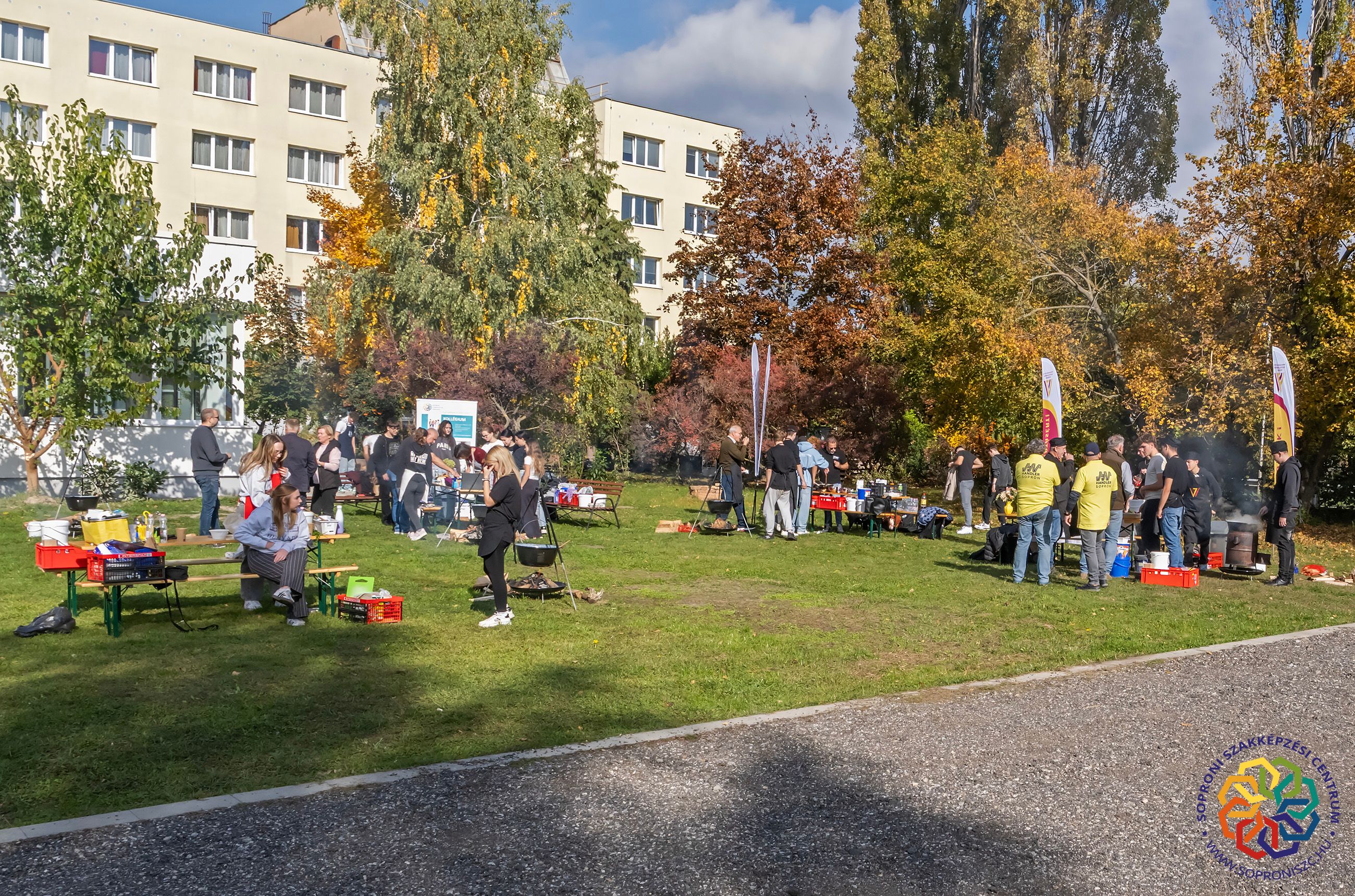 _1143164.jpg