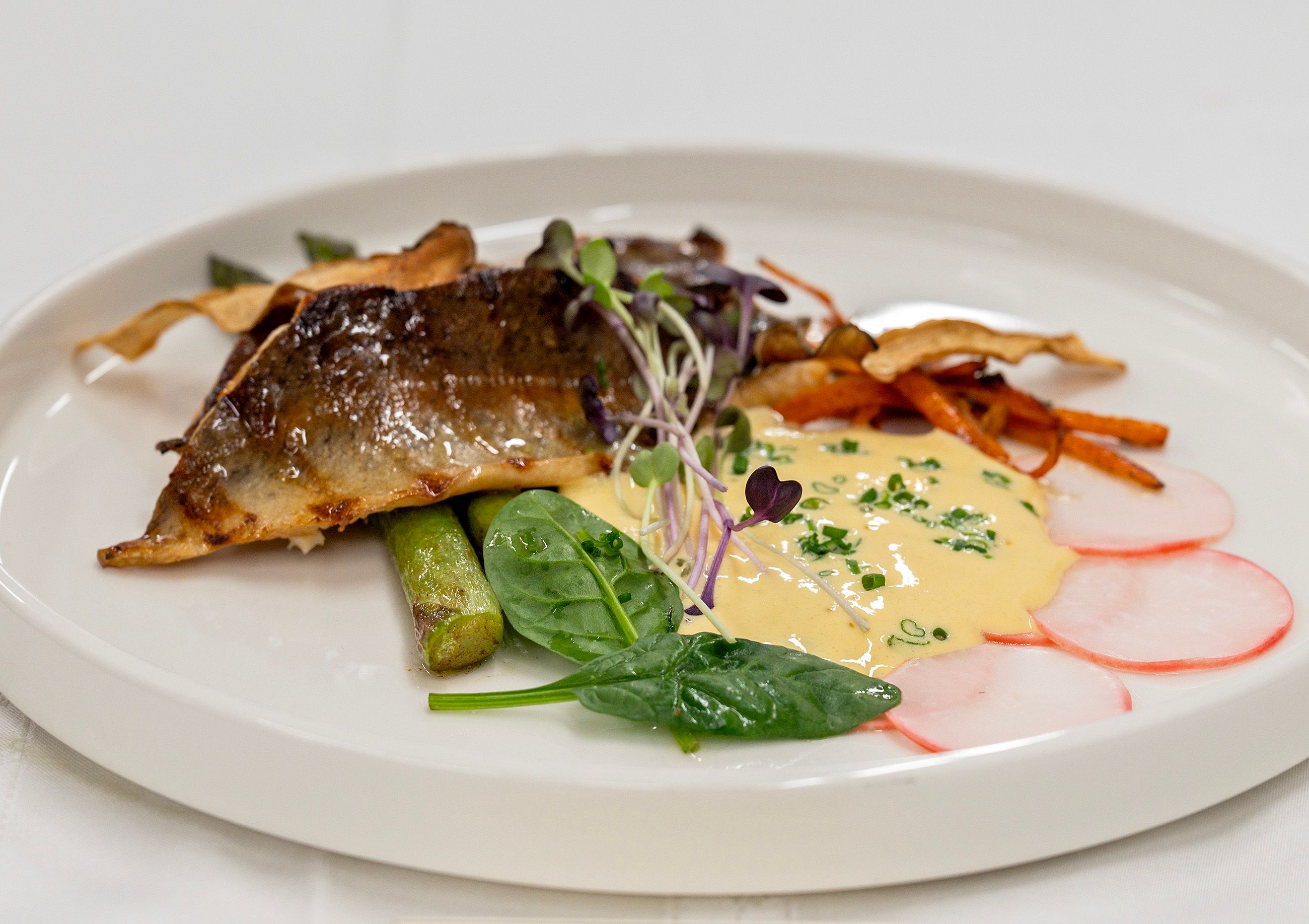 SVK Szakmai Nap 2026